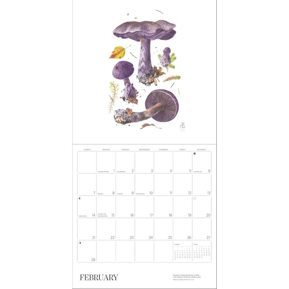 Mushrooms Viazmensky 2027 Wall Calendar Third Alternate Image