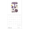 image Mushrooms Viazmensky 2027 Wall Calendar Third Alternate Image