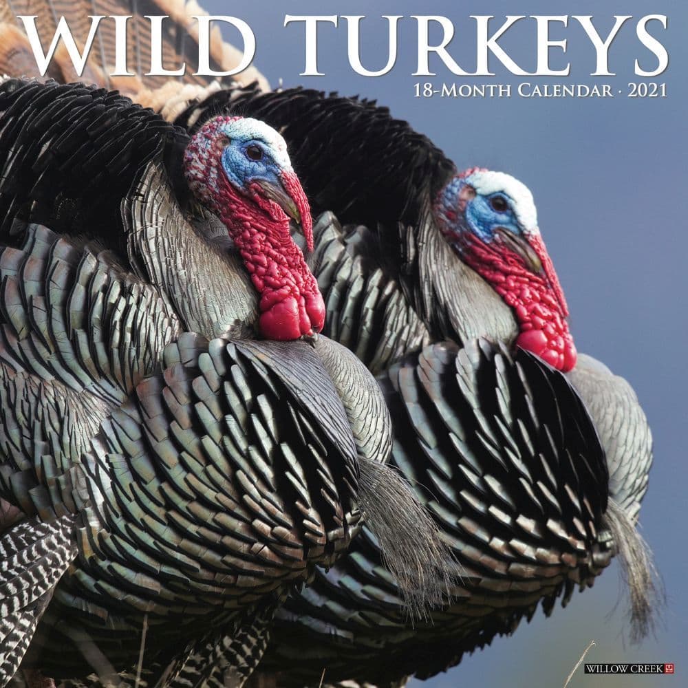Wild Turkeys Wall Calendar