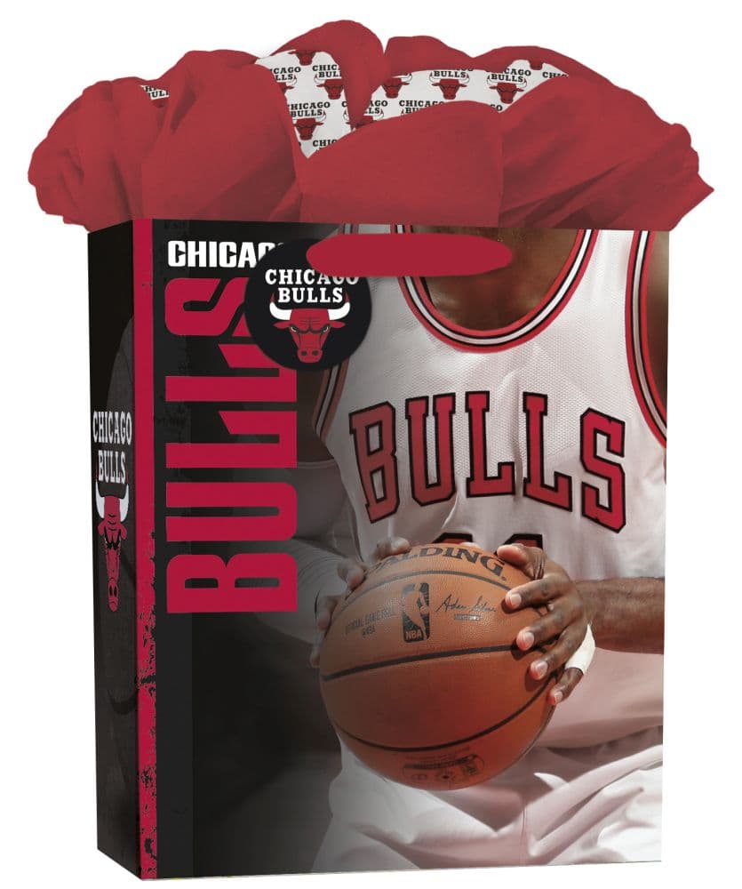 Chicago Bulls (Large) Gogo Gift Bag Main Image