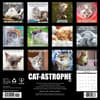 image Cat Astrophe 2025 Wall Calendar