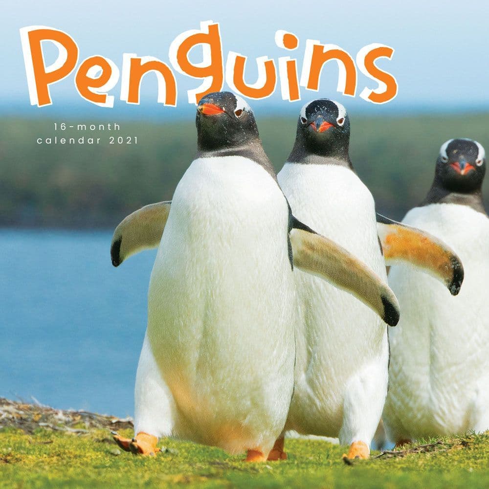 Penguins Wall Calendar