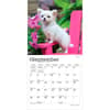 image Chihuahua Puppies 2027 Mini Wall Calendar Third Alternate Image