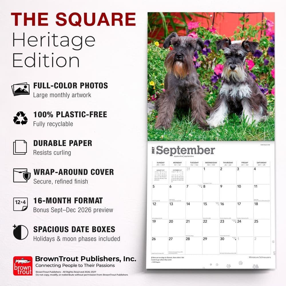 Schnauzers 2027 Wall Calendar Fifth Alternate Image