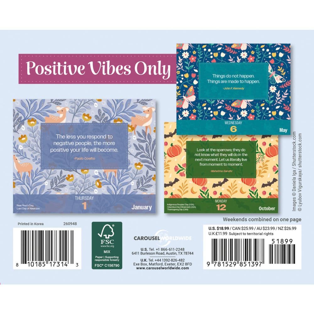 Positive Vibes Only 2026 Desk Calendar First Alternate Image