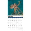 image Octopus 2026 Wall Calendar Second Alternate Image
