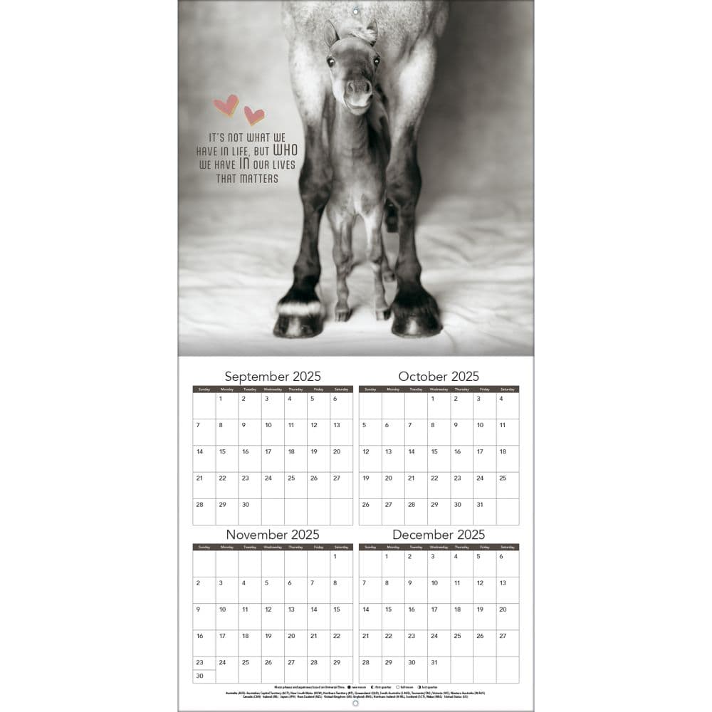 Rachael Hale Loveable Animals 2026 Wall Calendar Second Alternate Image