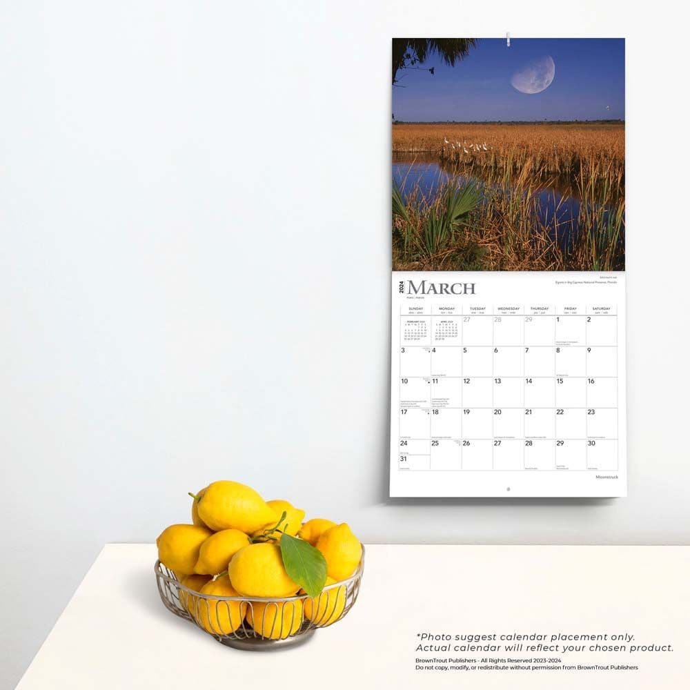 Moons 2024 Wall Calendar