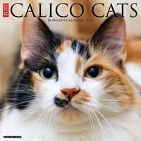 image Calico Cats 2026 Wall Calendar Main Image