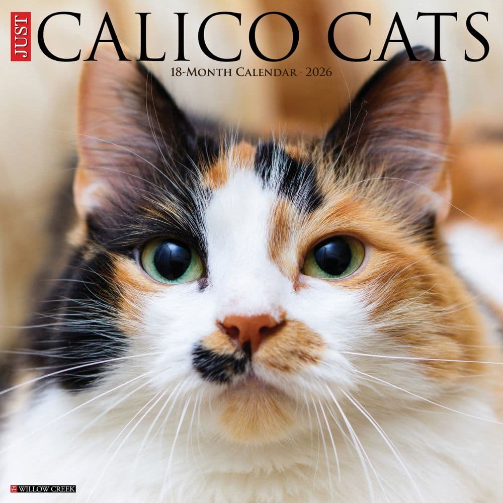 Calico Cats 2026 Wall Calendar Main Image