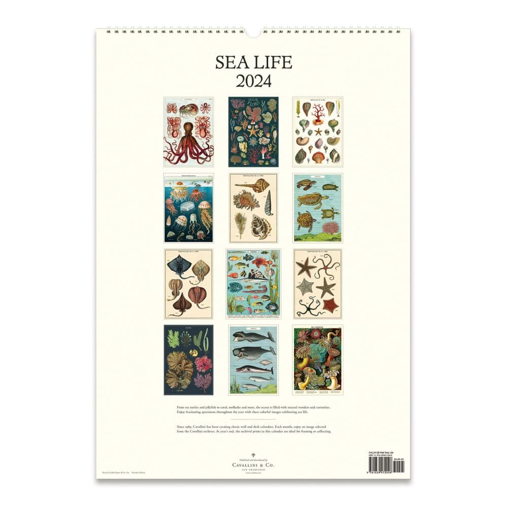 Sea Life 2024 Poster Wall Calendar Calendars Com   3443dd1d 8aef 417a 8491 74e1179ba636