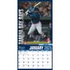 image MLB Tampa Bay Rays 2025 Wall Calendar