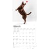 image Chocolate Lab Retriever 2024 Wall Calendar Second Alternate Image width=&quot;1000&quot; height=&quot;1000&quot;