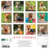 image Just Yorkies 2025 Wall Calendar