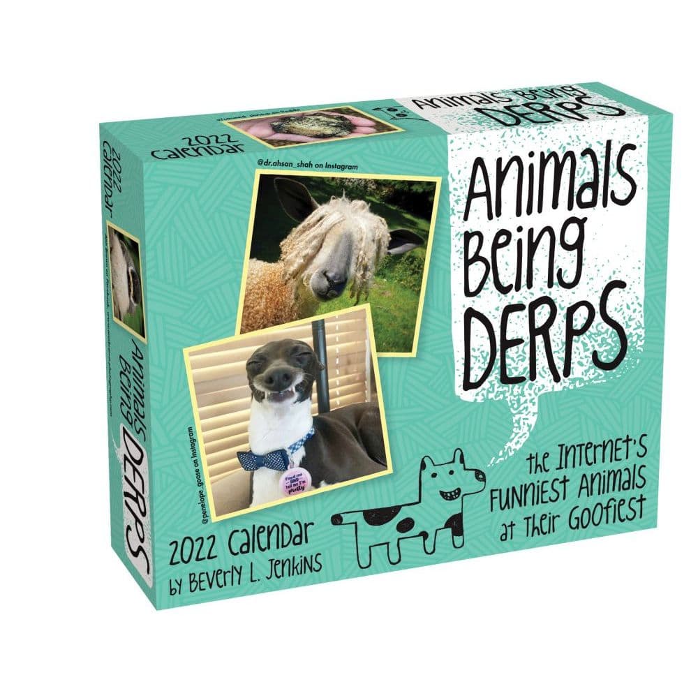 Animals Being Derps 2022 Day-to-Day Calendar