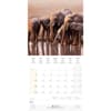 image Elephant Families 2025 Wall Calendar Fifth Alternate Image width="1000" height="1000"