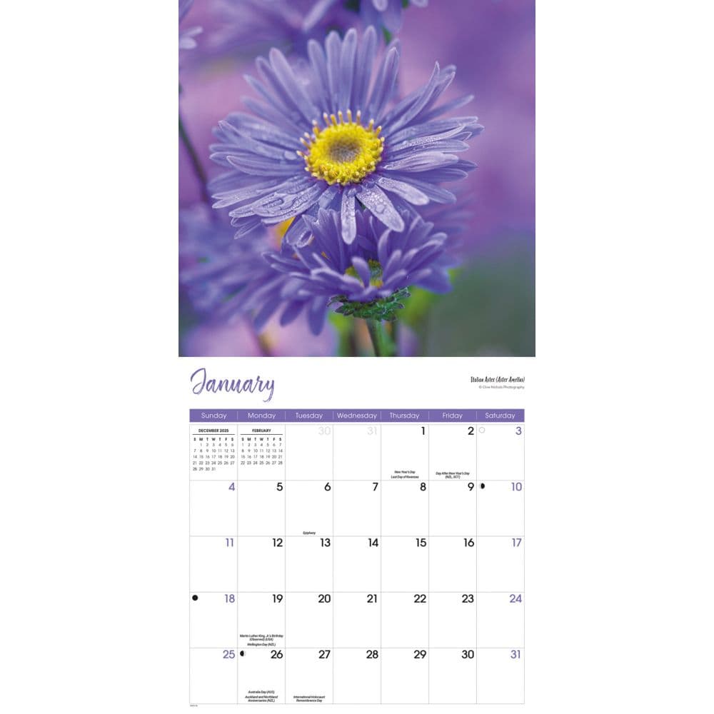 Flowers 2026 Wall Calendar Second Alternate Image