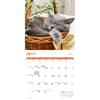 image Cat Naps 2026 Wall Calendar Third Alternate Image