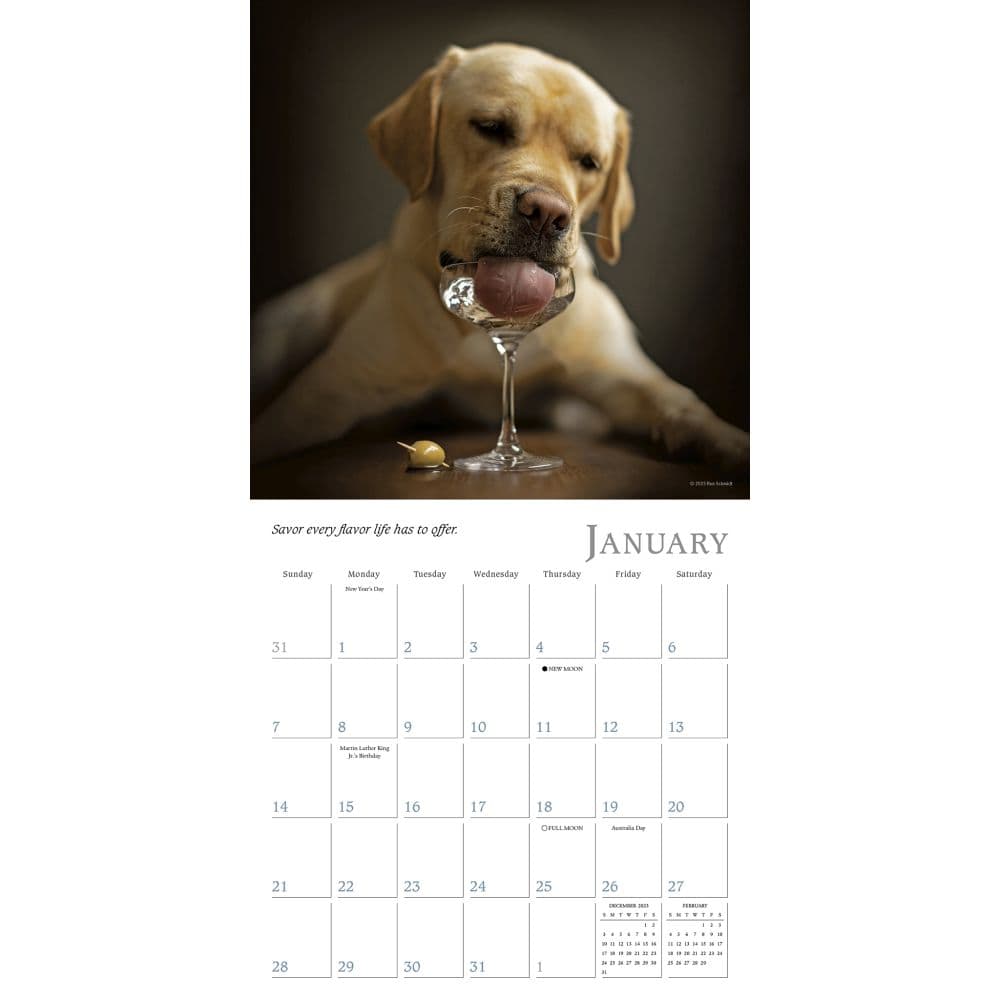 Dogma 2025 Mini Wall Calendar