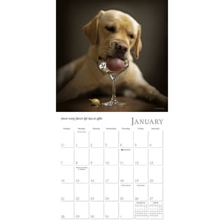 Dogma 2024 Mini Wall Calendar - Calendars.com