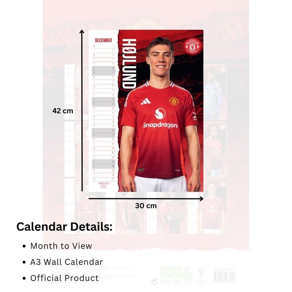 Manchester United FC Poster 2025 Wall Calendar Fifth Alternate Image