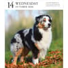 image Dog Gallery 2026 Desk Calendar Third Alternate Image