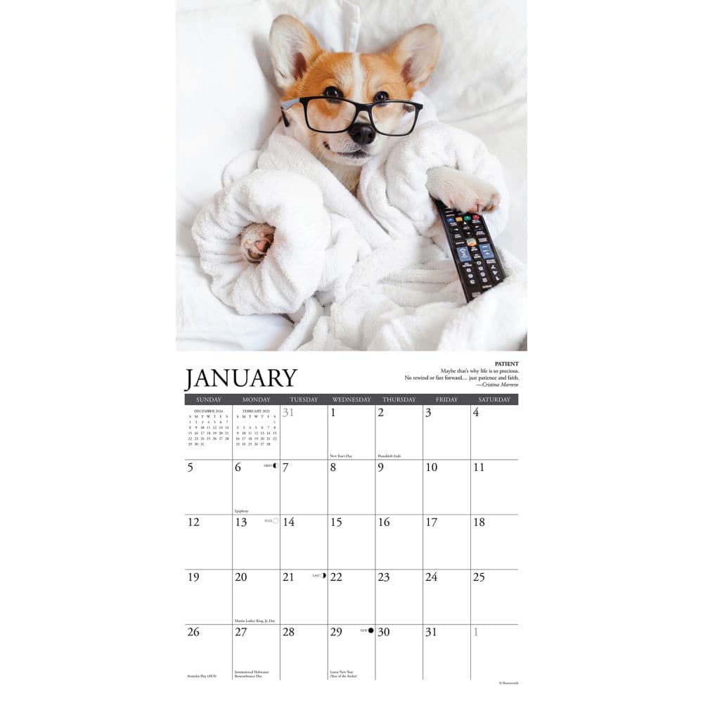 Rules 2025 Wall Calendar