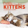 image Kittens 2024 Mini Wall Calendar Main Image