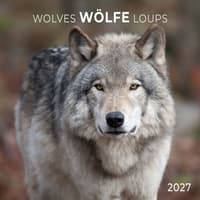 image Wolves 2027 Wall Calendar Main Product Image