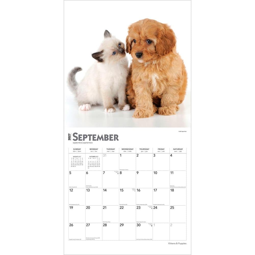 Kittens And Puppies 2027 Wall Calendar Third Alternate Image