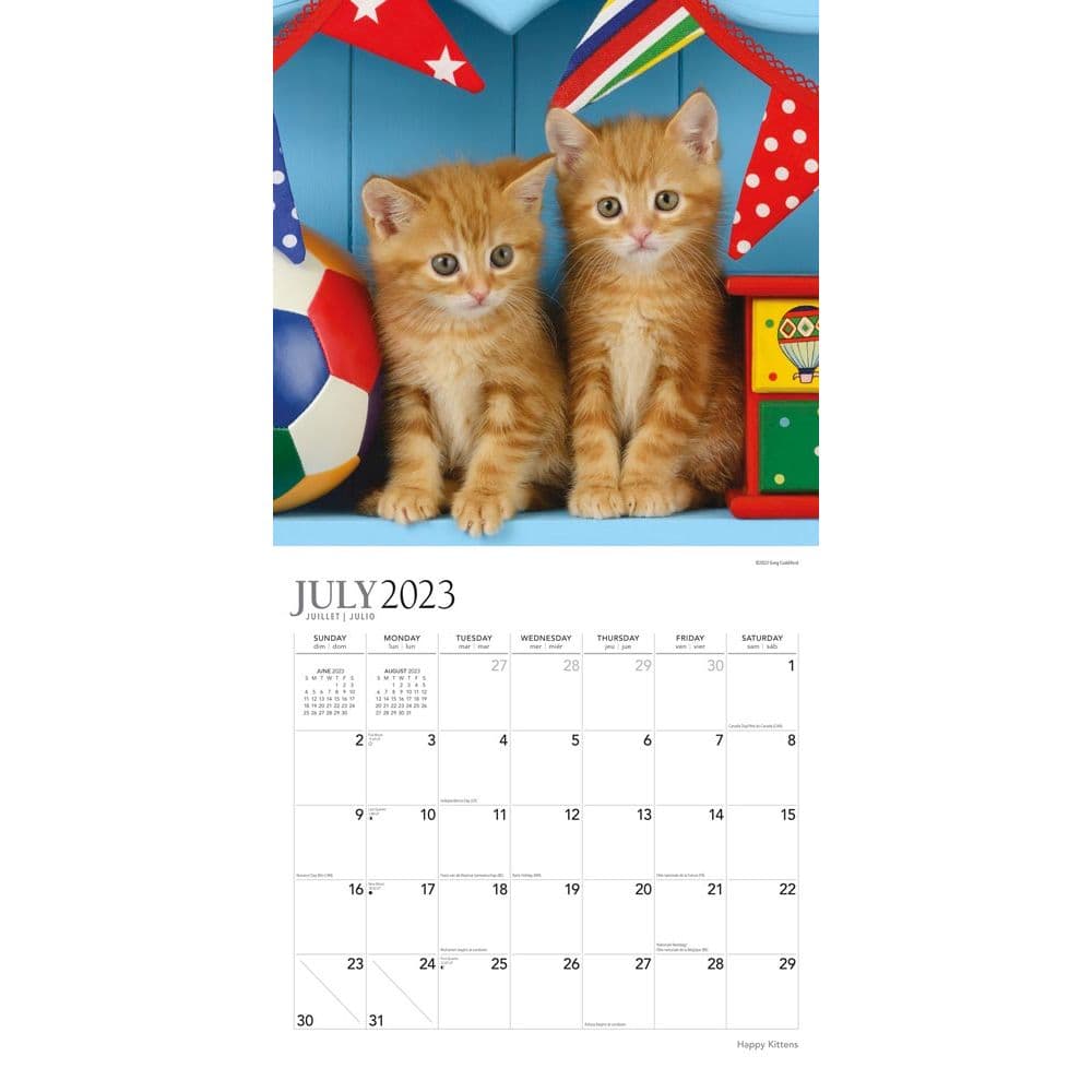 Happy Kittens 2024 Wall Calendar Alternate Image 2