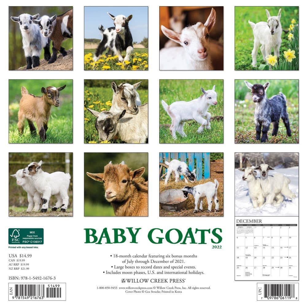 Goat Calendar 2022 Baby Goats 2022 Wall Calendar - Calendars.com