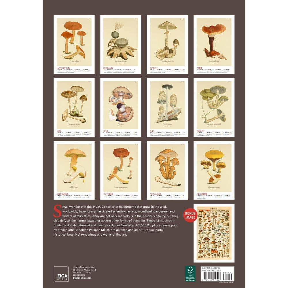 Mushroom Botanicals 2026 Wall Calendar First Alternate Image