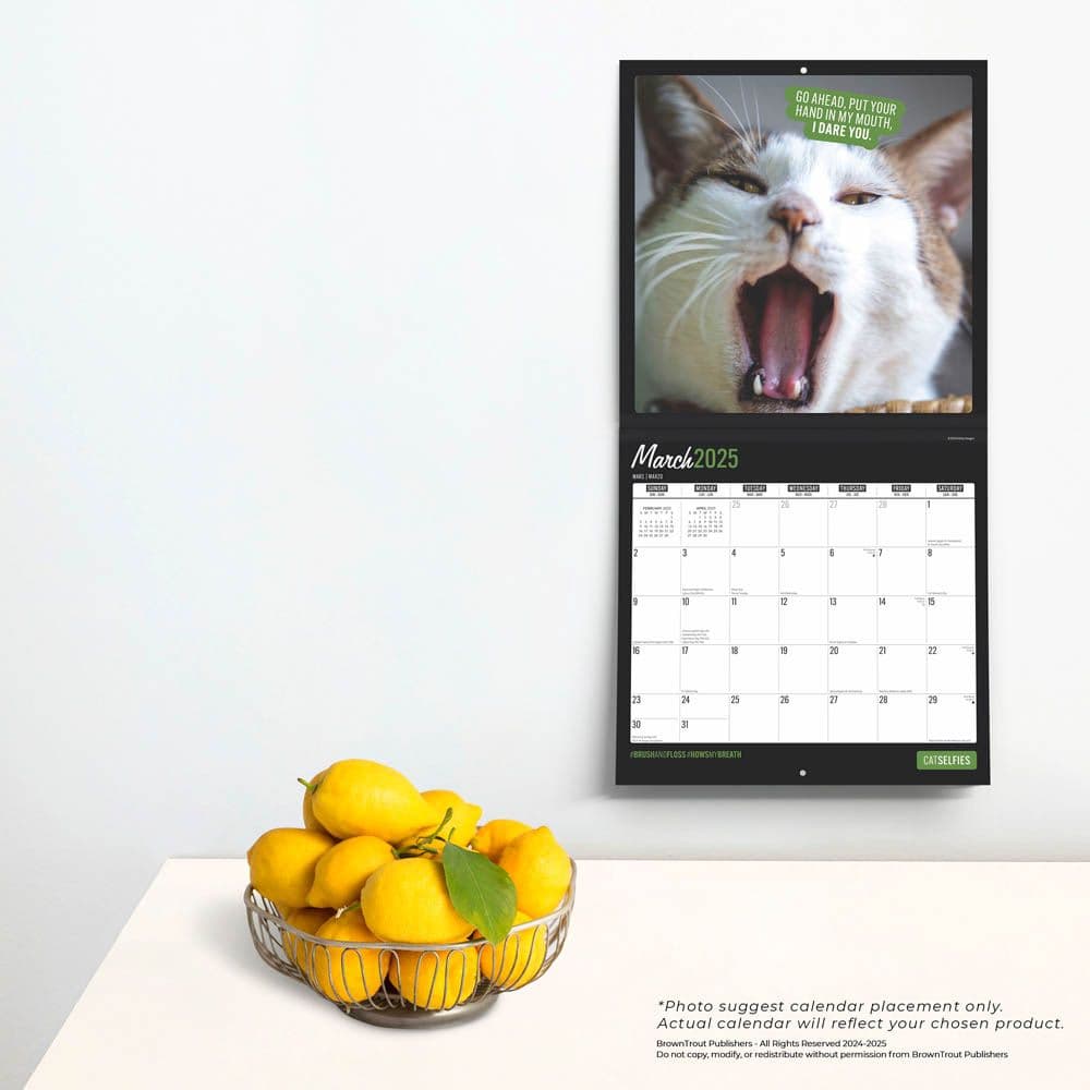 Cat Selfies 2025 Wall Calendar Fourth Alternate Image width=&quot;1000&quot; height=&quot;1000&quot;