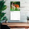 image Saint Bernards 2027 Wall Calendar Fourth Alternate Image