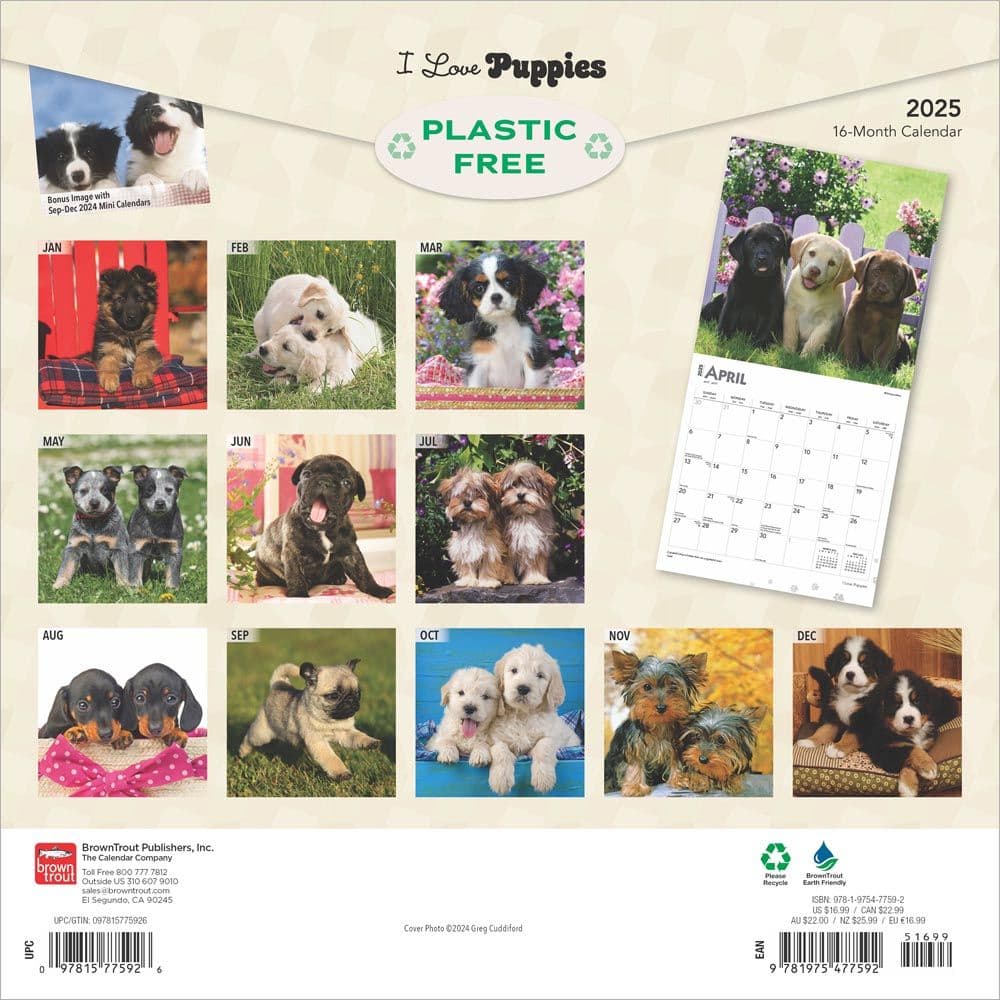 Puppies 2025 Wall Calendar First Alternate Image