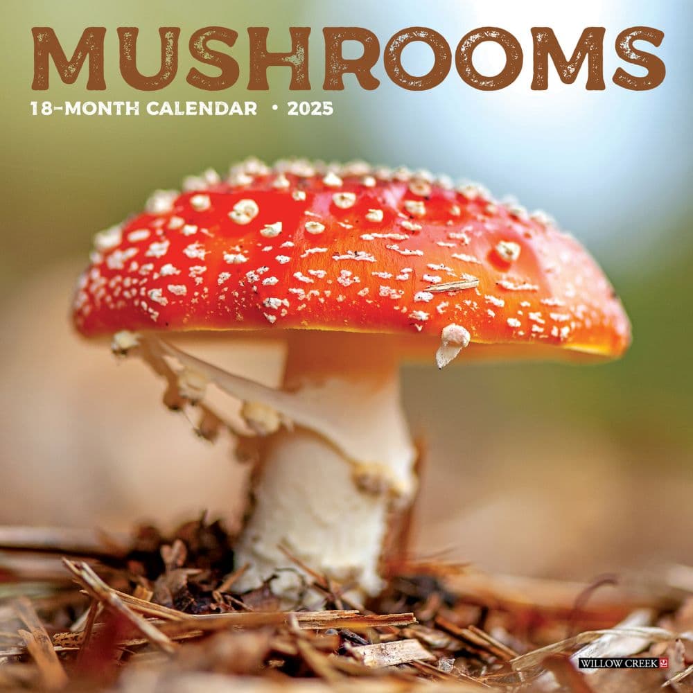 Mushrooms 2025 Mini Wall Calendar