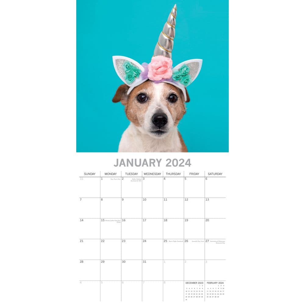 Dogs as Animals 2024 Wall Calendar Second Alternate Image width=&quot;1000&quot; height=&quot;1000&quot;