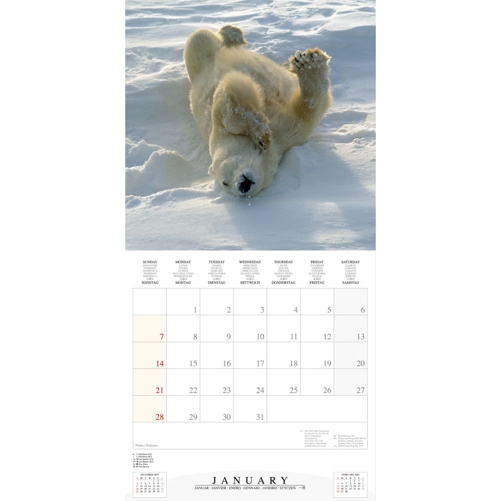 Polar Bears 2024 Wall Calendar (French) Alt2