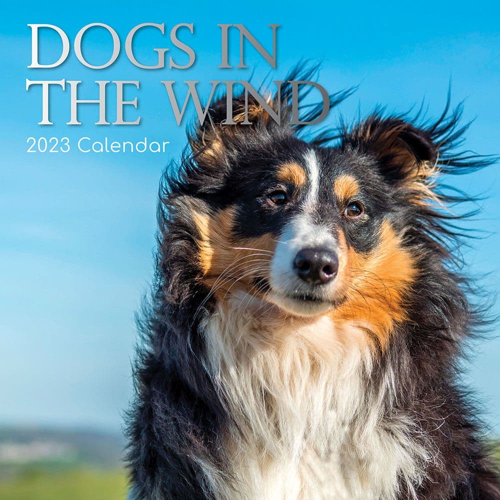 The Gifted Stationery Co Ltd Dogs in the Wind 2023 Wall Calendar