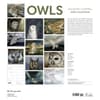 image Chappell Owls 2025 Wall Calendar First Alternate Image width="1000" height="1000"