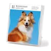 image Dog Gallery 2026 Desk Calendar Second  Alternate Image