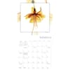 image Flower Spirits 2025 Wall Calendar Second Alternate Image width=&quot;1000&quot; height=&quot;1000&quot;