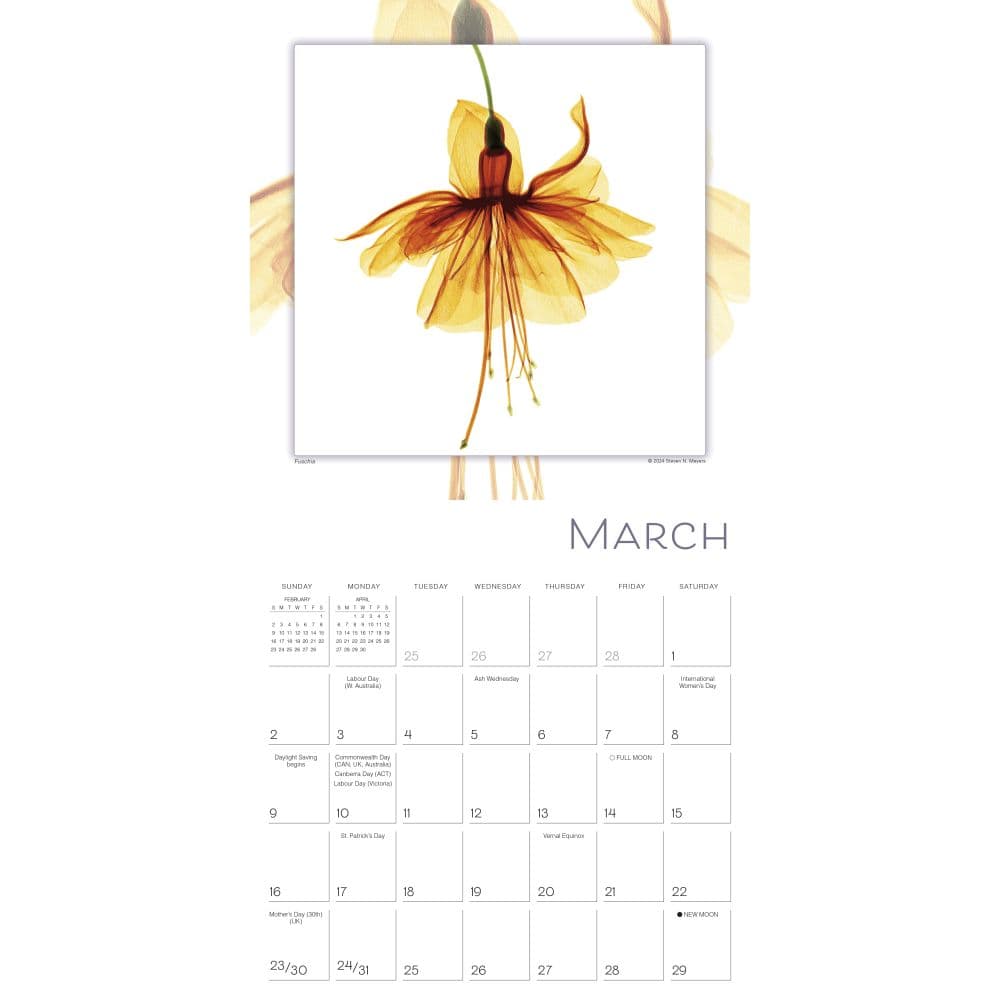 Flower Spirits 2025 Wall Calendar