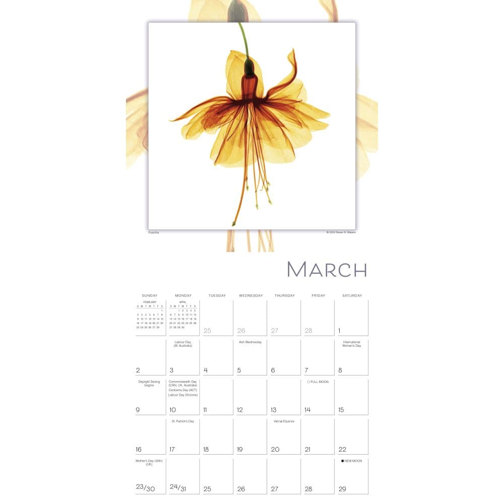 Flower Spirits 2025 Wall Calendar Second Alternate Image width=&quot;1000&quot; height=&quot;1000&quot;