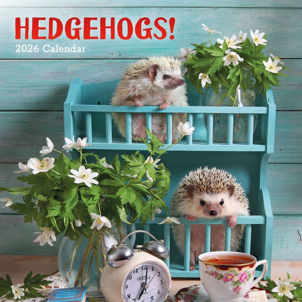 Hedgehogs 2026 Wall Calendar Main Image
