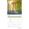 image Psalms Special Value 2026 Wall Calendar Third Alternate Image