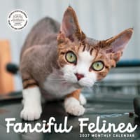 image Cats Fanciful Felines 2027 Wall Calendar Main Product Image