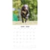 image Irish Wolf Hounds 2026 Wall Calendar Second Alternate Image