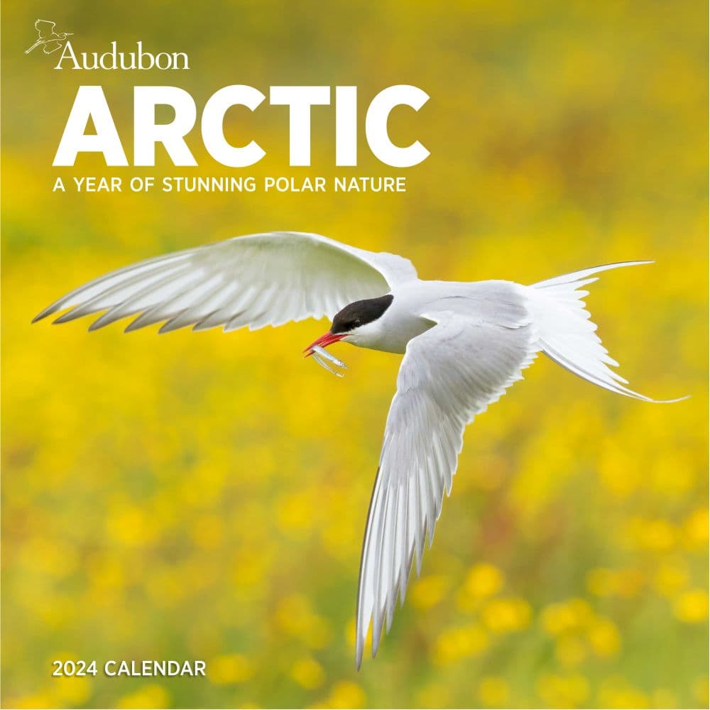 Audubon Arctic 2024 Wall Calendar Main Image